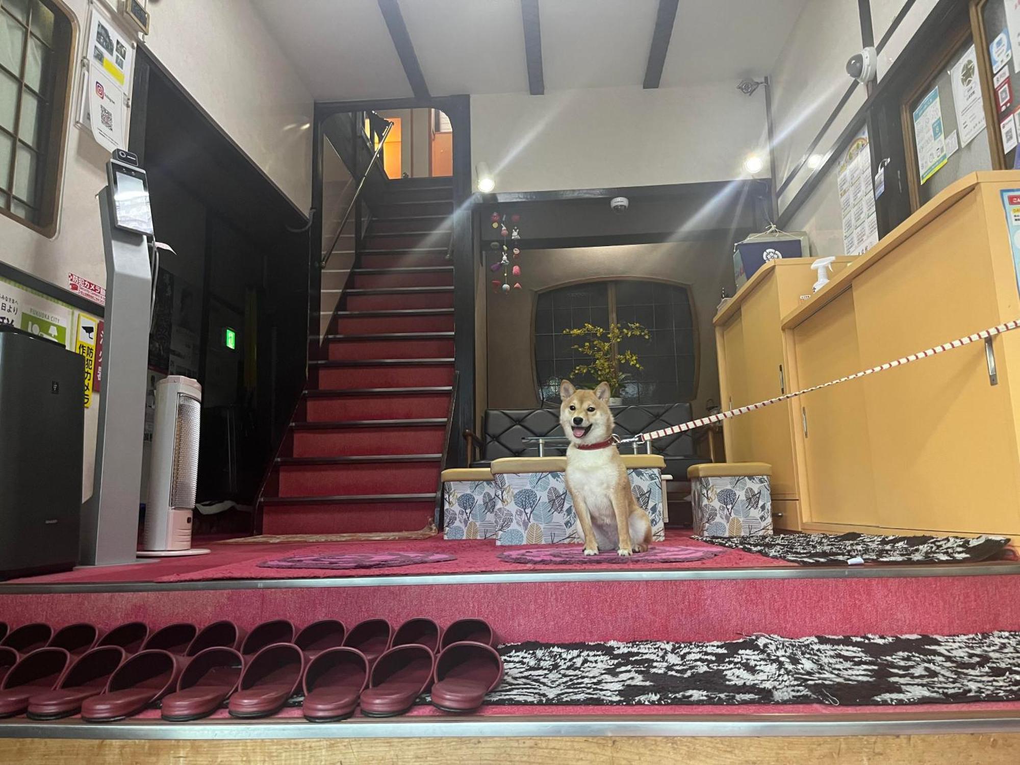 Yamamoto Ryokan Fukuoka  Exterior foto
